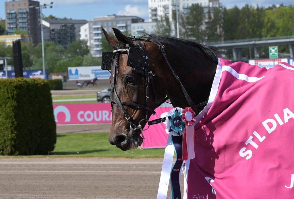 Olly Håleryd
